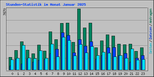 Stunden-Statistik im Monat Januar 2025