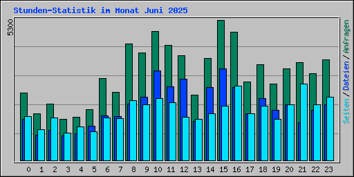 Stunden-Statistik im Monat Juni 2025