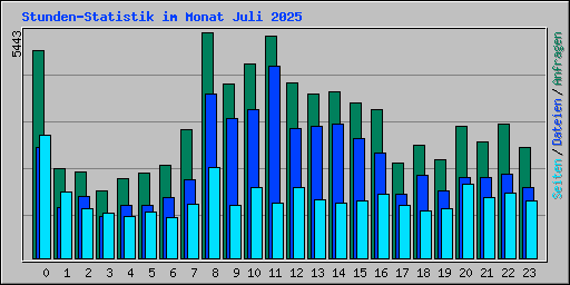 Stunden-Statistik im Monat Juli 2025