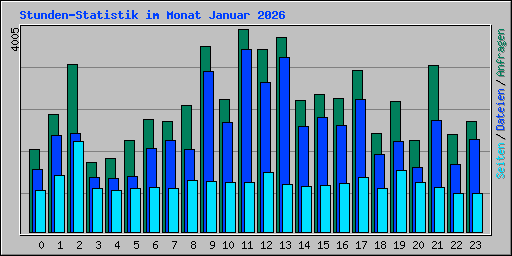 Stunden-Statistik im Monat Januar 2026